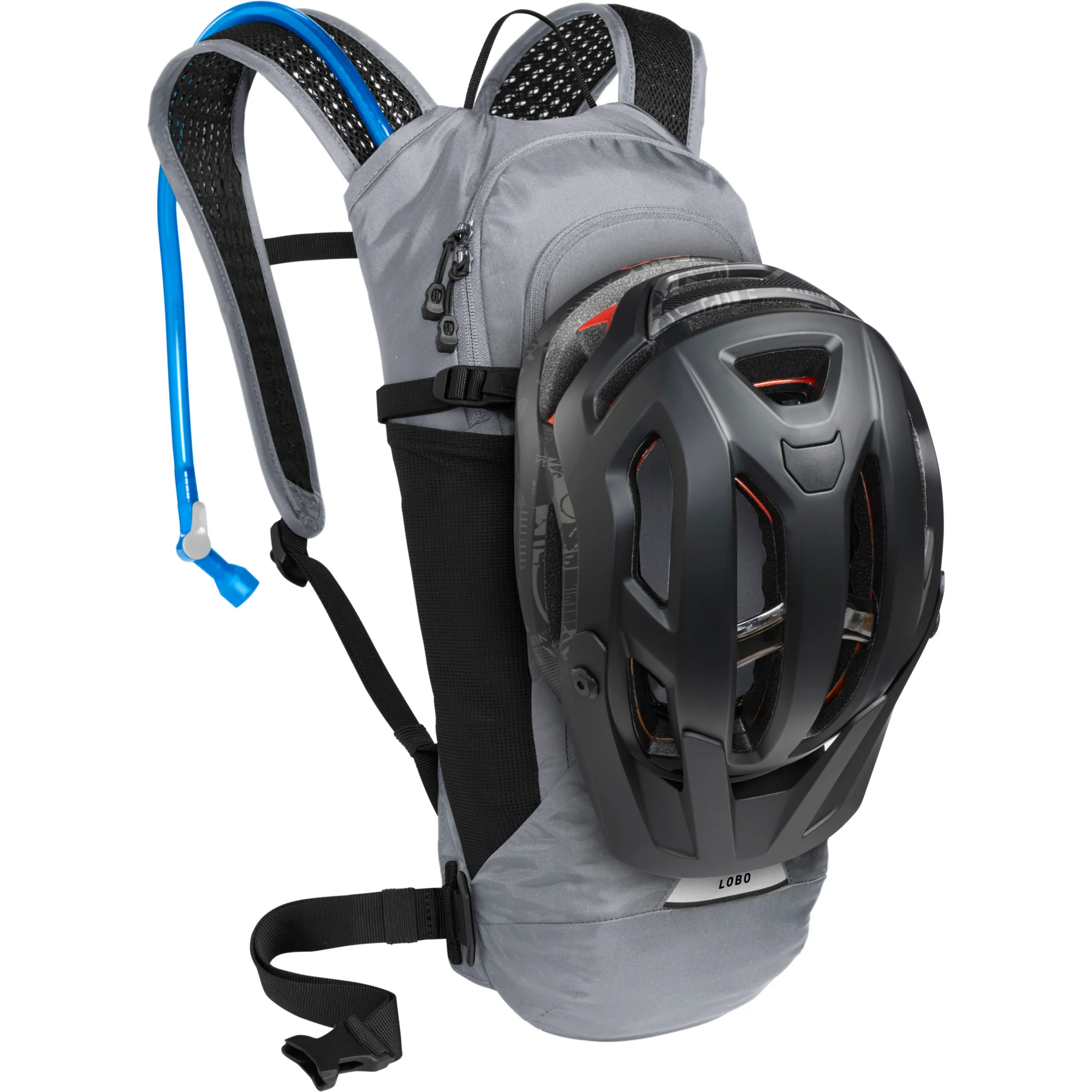 Lobo 9 - Past Season - Image 5